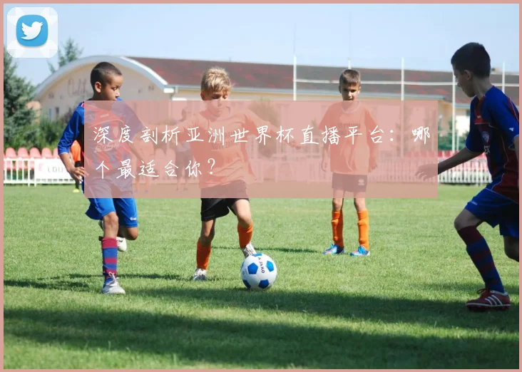 深度剖析亚洲世界杯直播平台：哪个最适合你？
