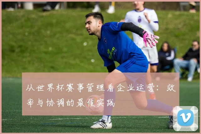从世界杯赛事管理看企业运营：效率与协调的最佳实践